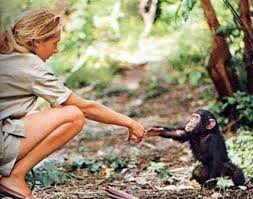 Questioning things is the only way we can truly understand them...