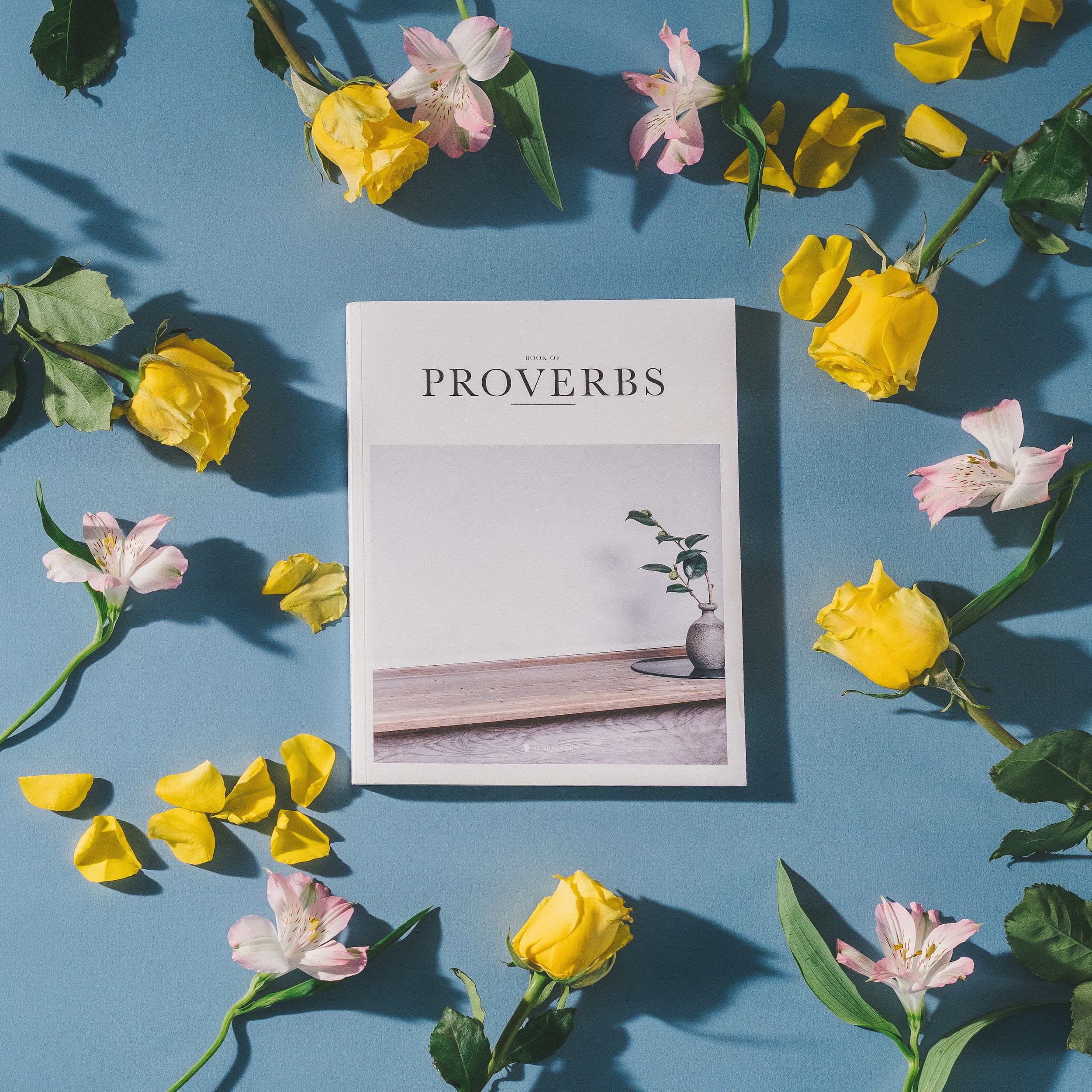 "Proverbs are the palm-oil with which words are eaten..."