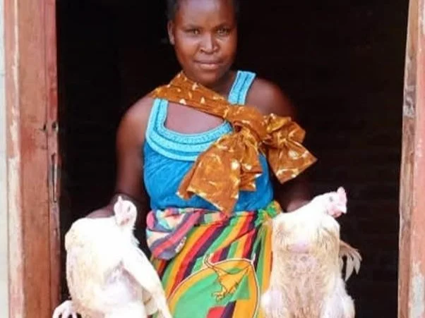 Generating Income From Poultry Rearing