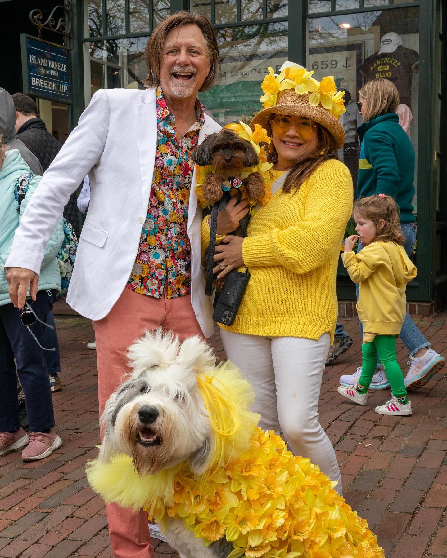 Still dreaming of #ACKDaffy 2023 🌼 The 47th Annual Nantucket Daffodil Festival took place here on island this past weekend and it was a great one. The festivities kicked off Friday afternoon and continued through Sunday, highlighted by the @ackchamb