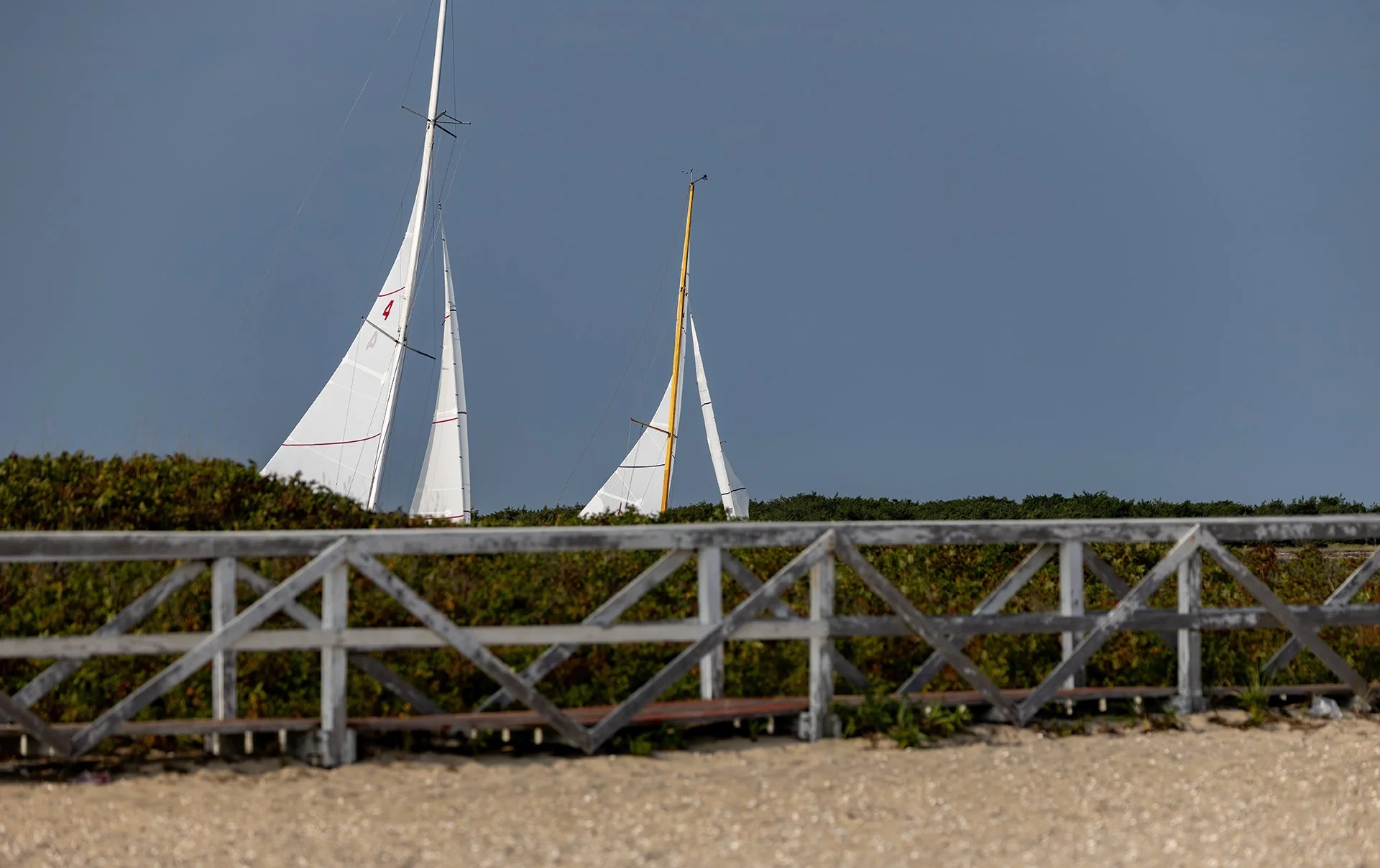 JN6A4421 copy.jpg