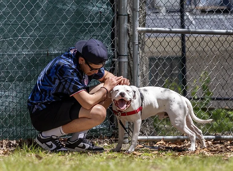 Puppy Love