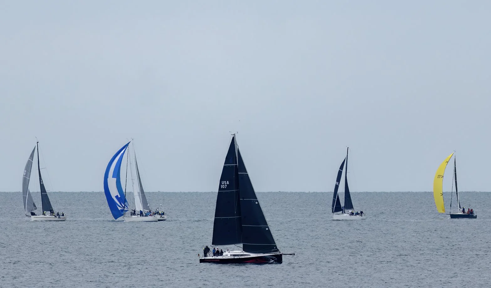 Sails on the sound