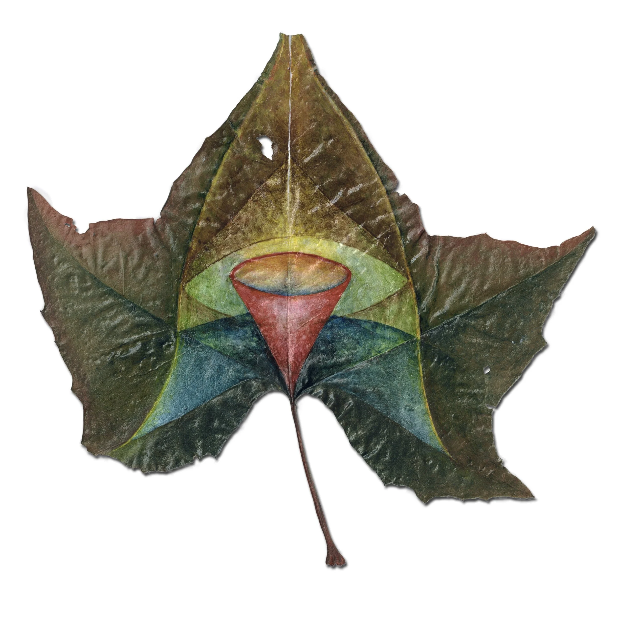 LauriePetersEyeSycamore.jpg