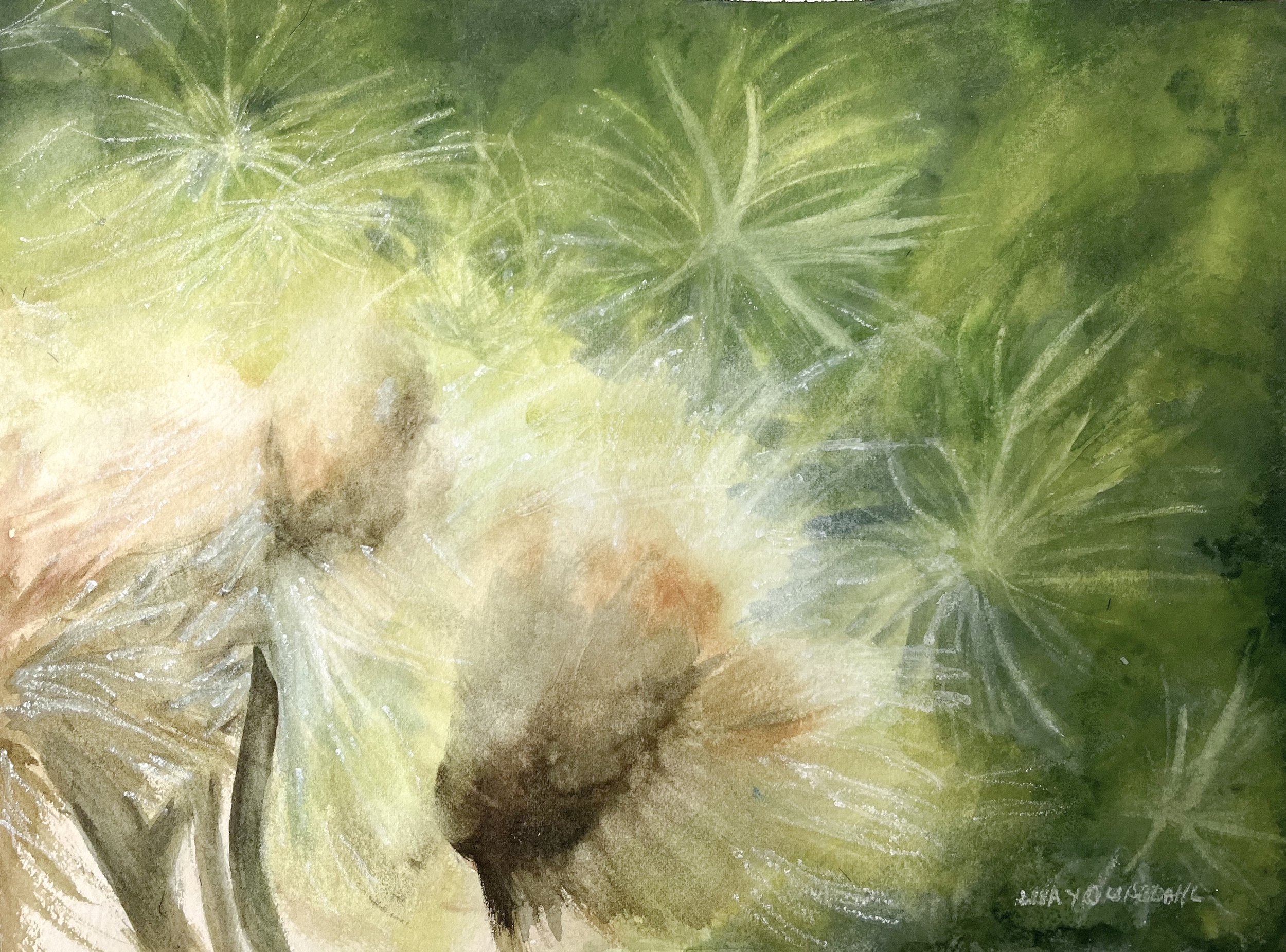 pollen_LisaYoungdahl.jpg