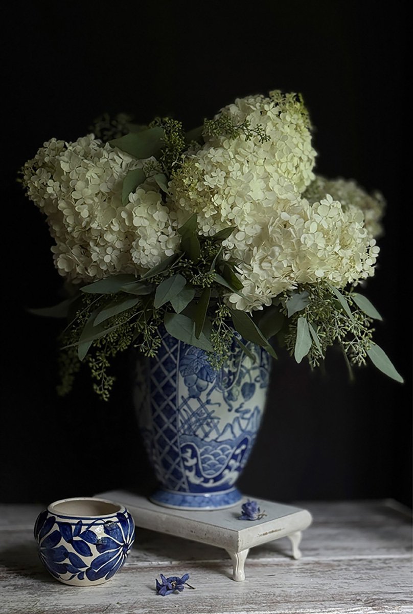 claudia frost_HYDRANDGEA+ABUNDANCE.jpg