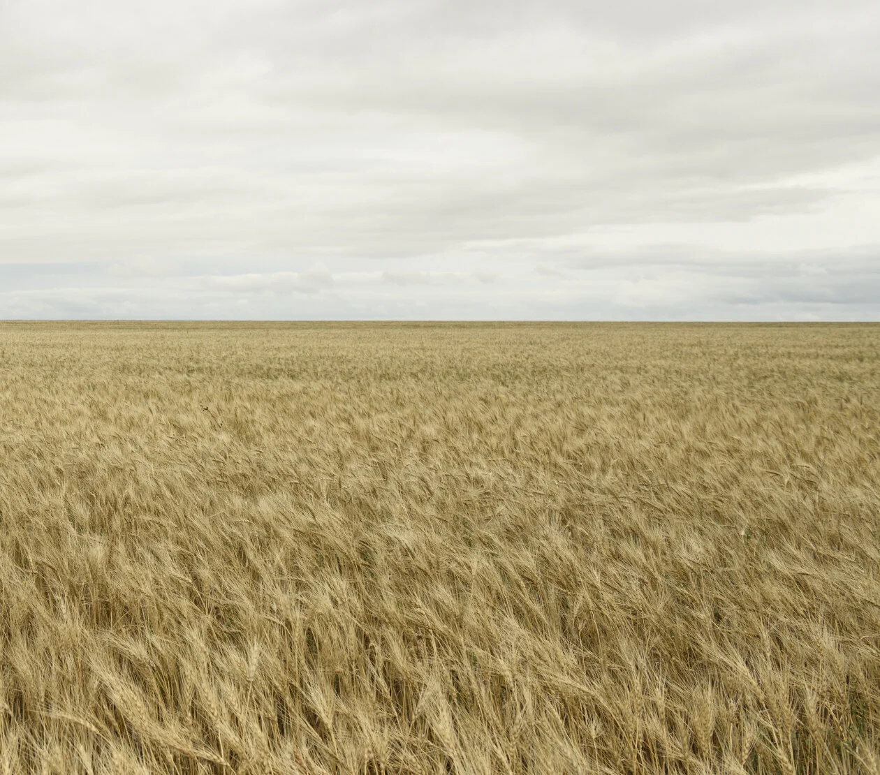 Environmental stewardship