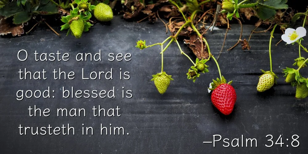 Just Taste It (Psalm 34:8)