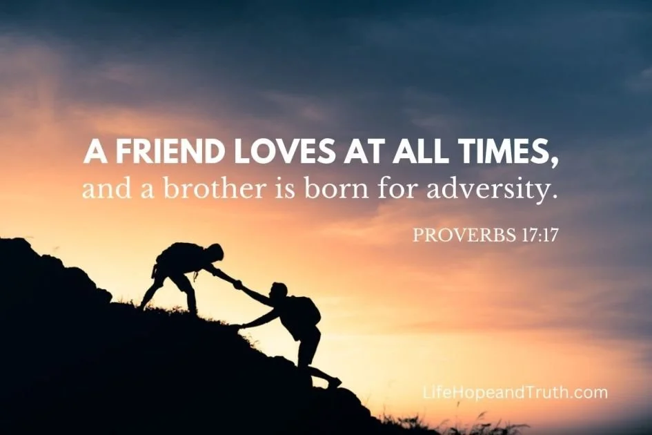 A Focus on Friendship