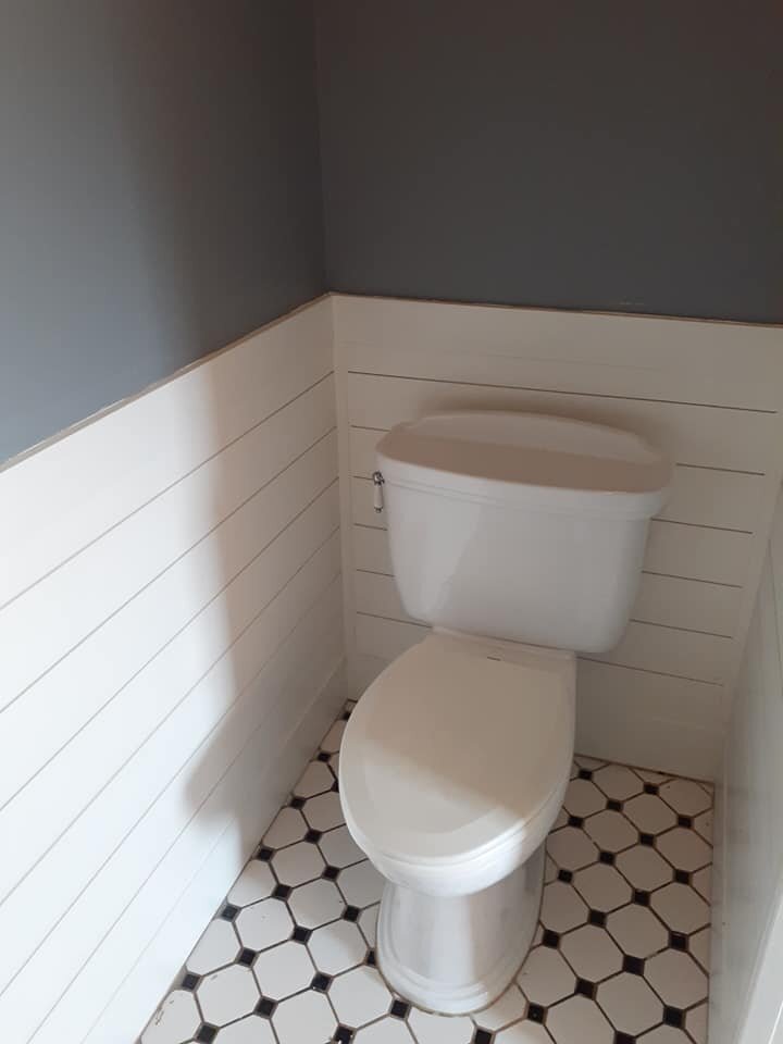 bathroom remodel toilet.jpg