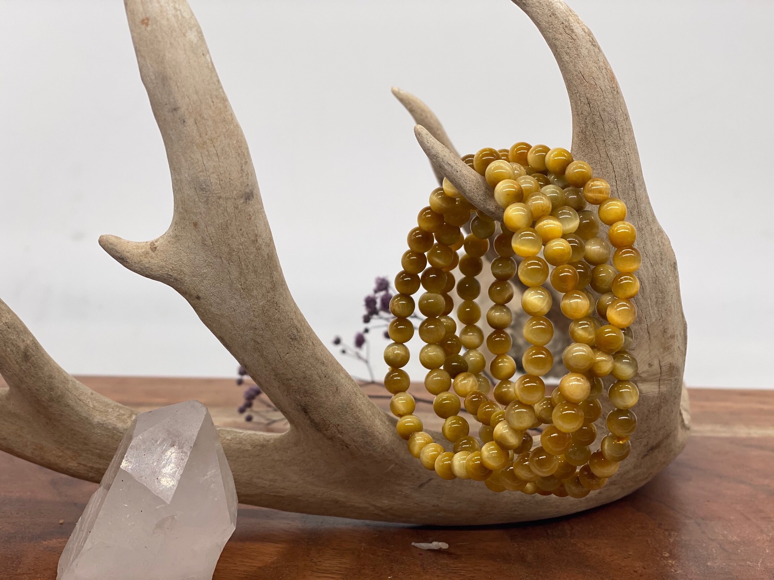 AF30E018-7F4F-4B9B-A0D5-4B508269EDDE