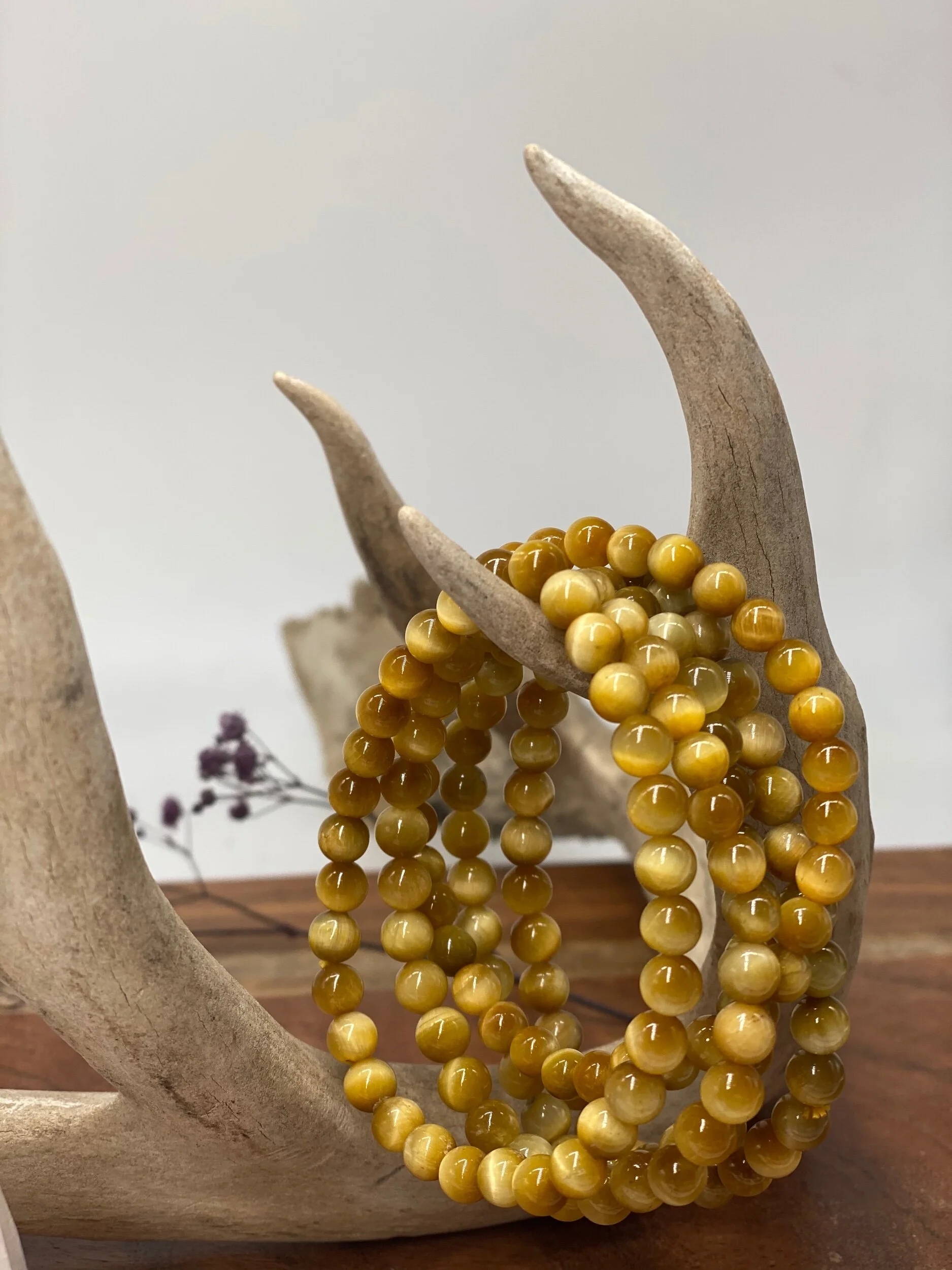 293E434D-2EC1-41A2-8315-26195B9E37EE