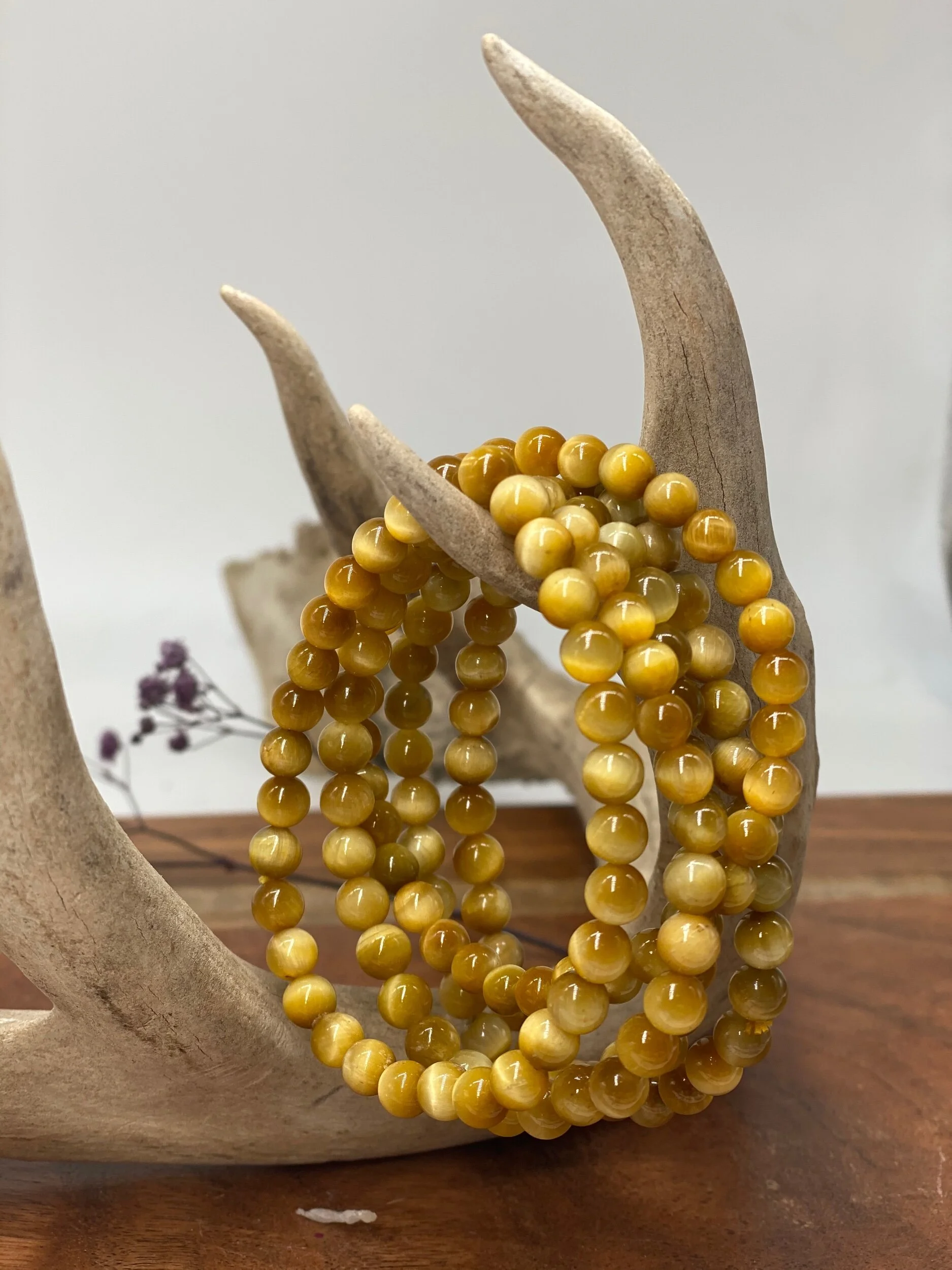 6ABF8800-E01C-406C-AFEC-3EB68470C6AB