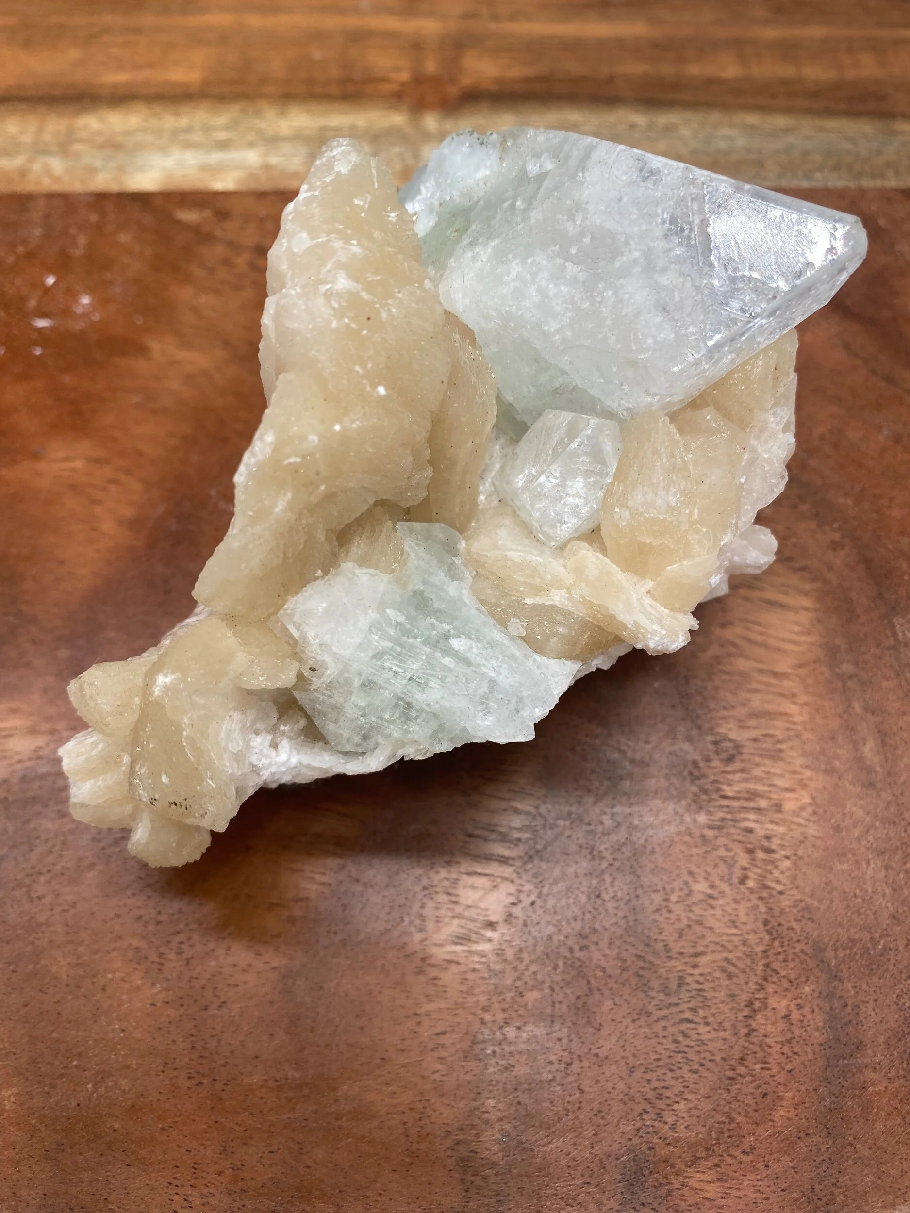 192AE03B-4192-4BE9-A00A-2DA3C58D9465