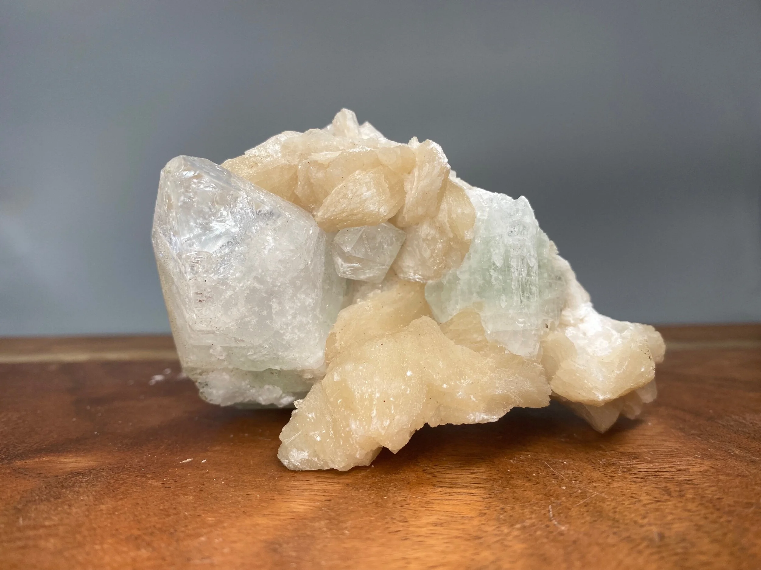 CCC0957F-52B8-4540-846C-1C8B08D0776F