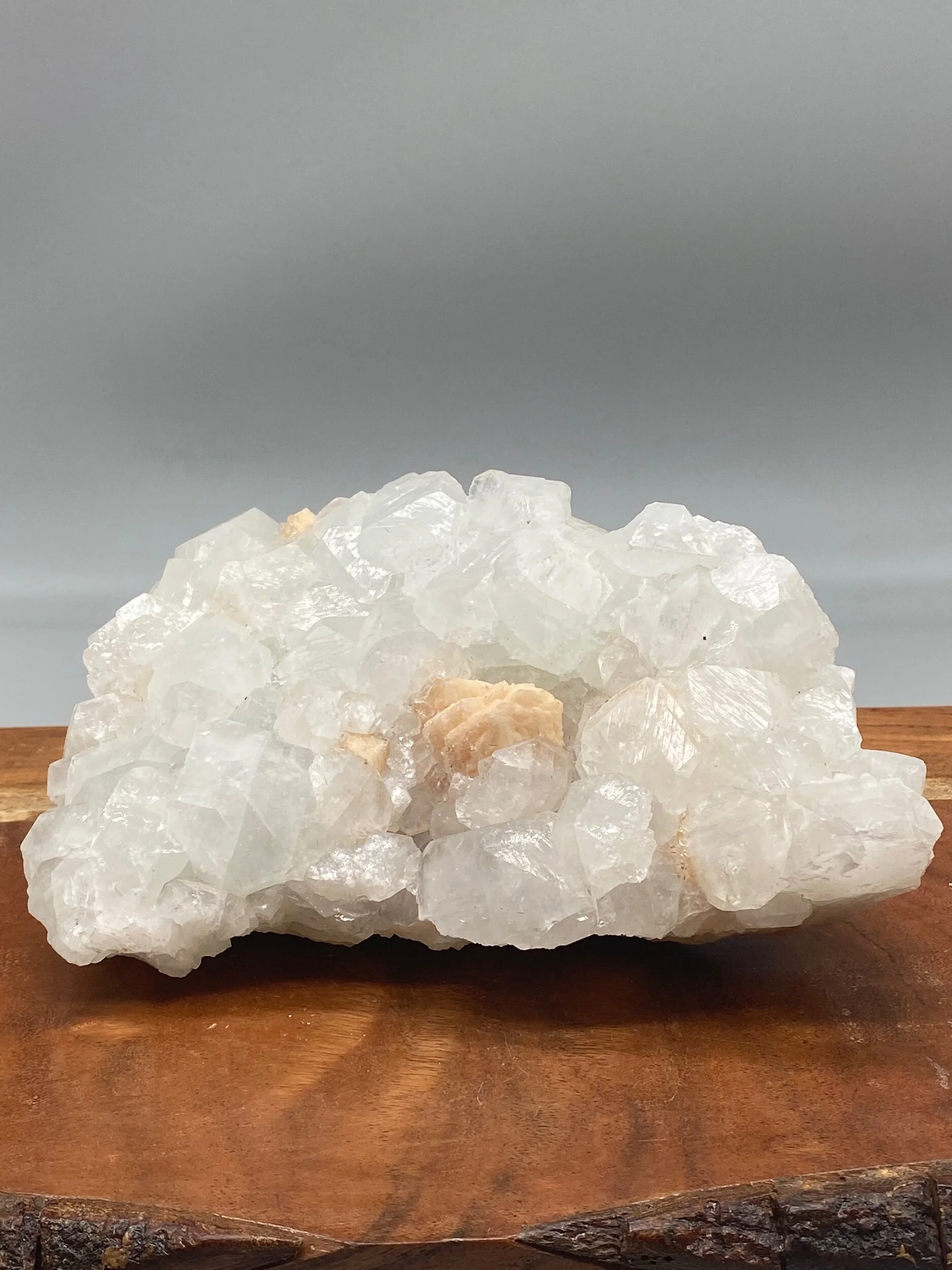 F7A76BC2-86EE-4AC3-96E5-C4C3943E2909