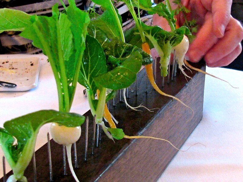 A quickie (review, that is): lunch at Blue Hill at Stone Barns