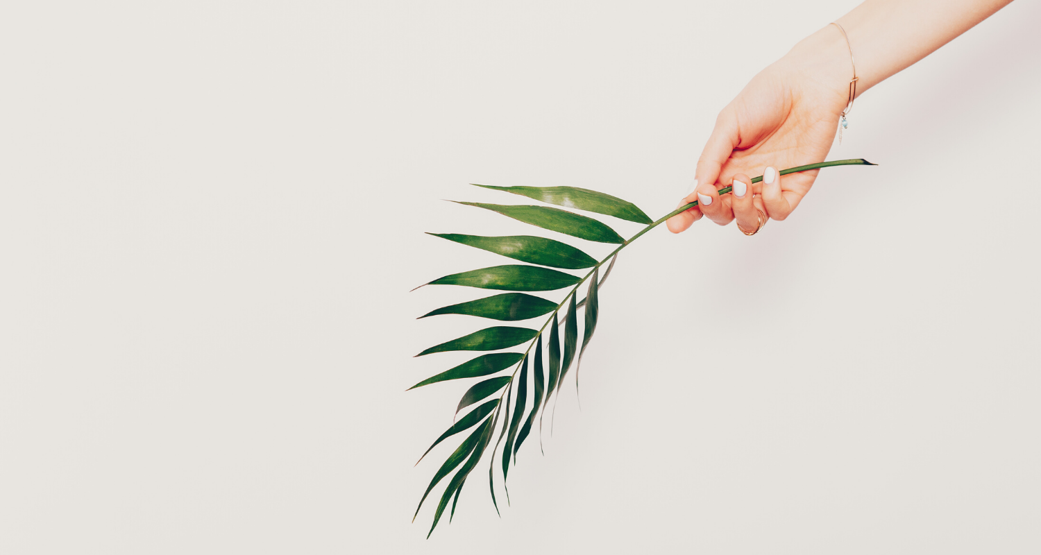 Aimee-web call - banner.png