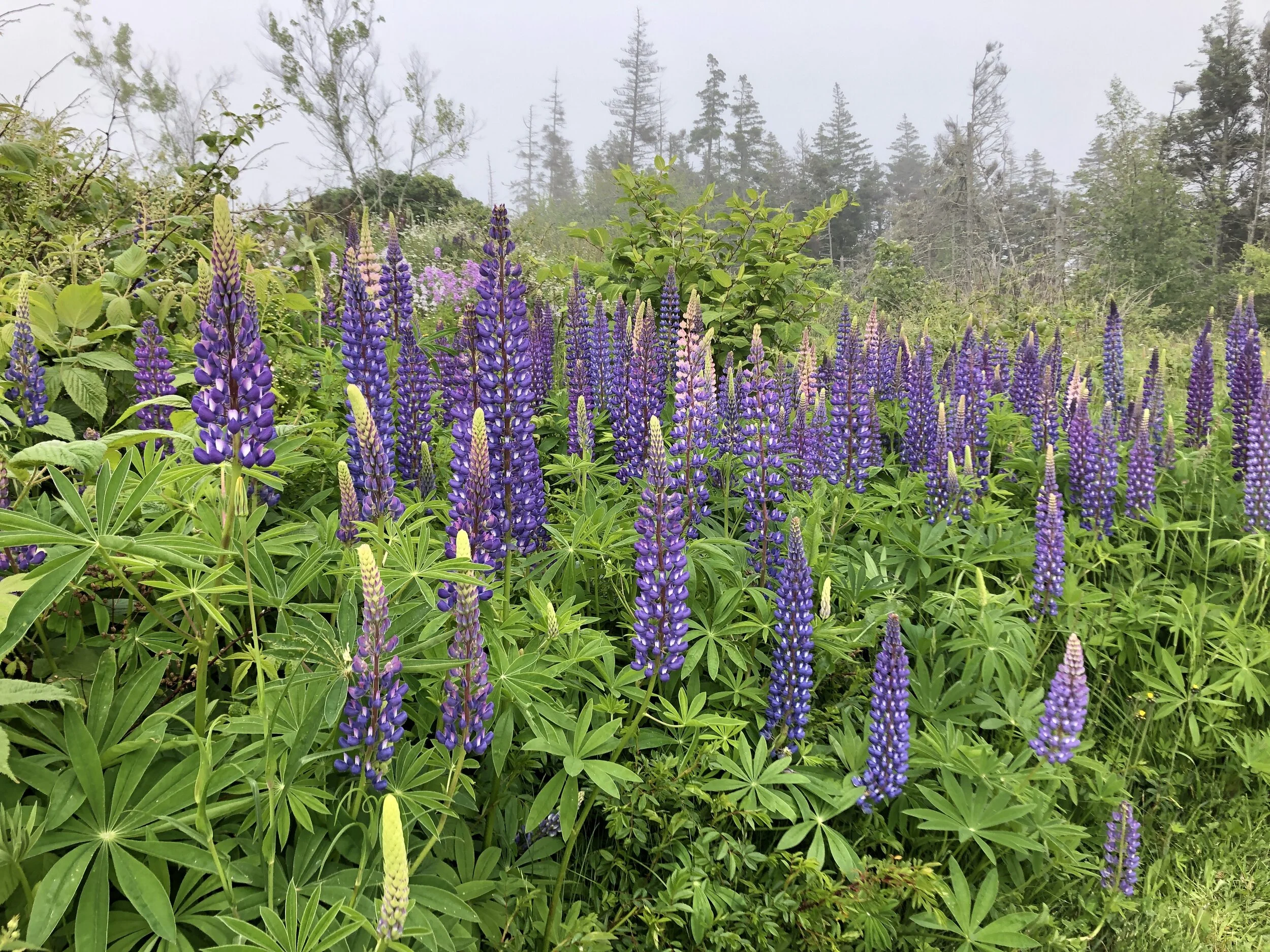 Teach us your way, the way of self-emptying