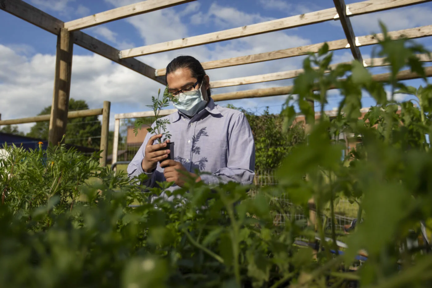 Food equity is the lasting solution to food insecurity