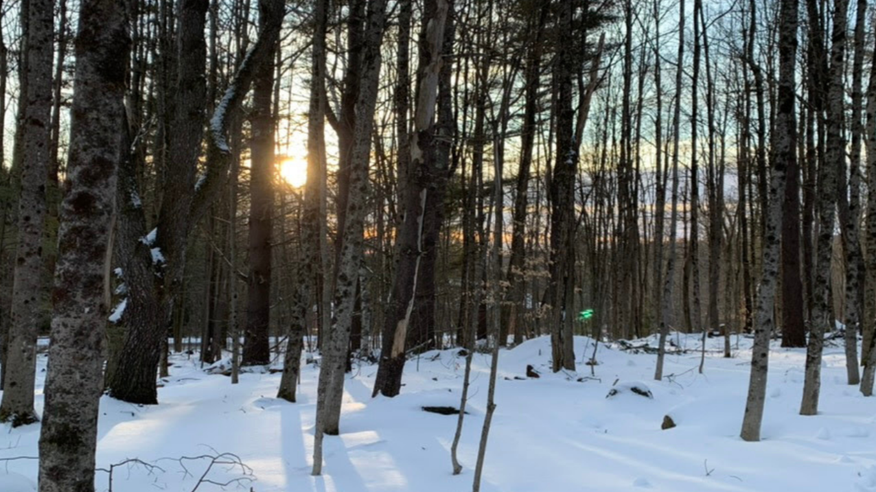 Eco-Spirituality Service