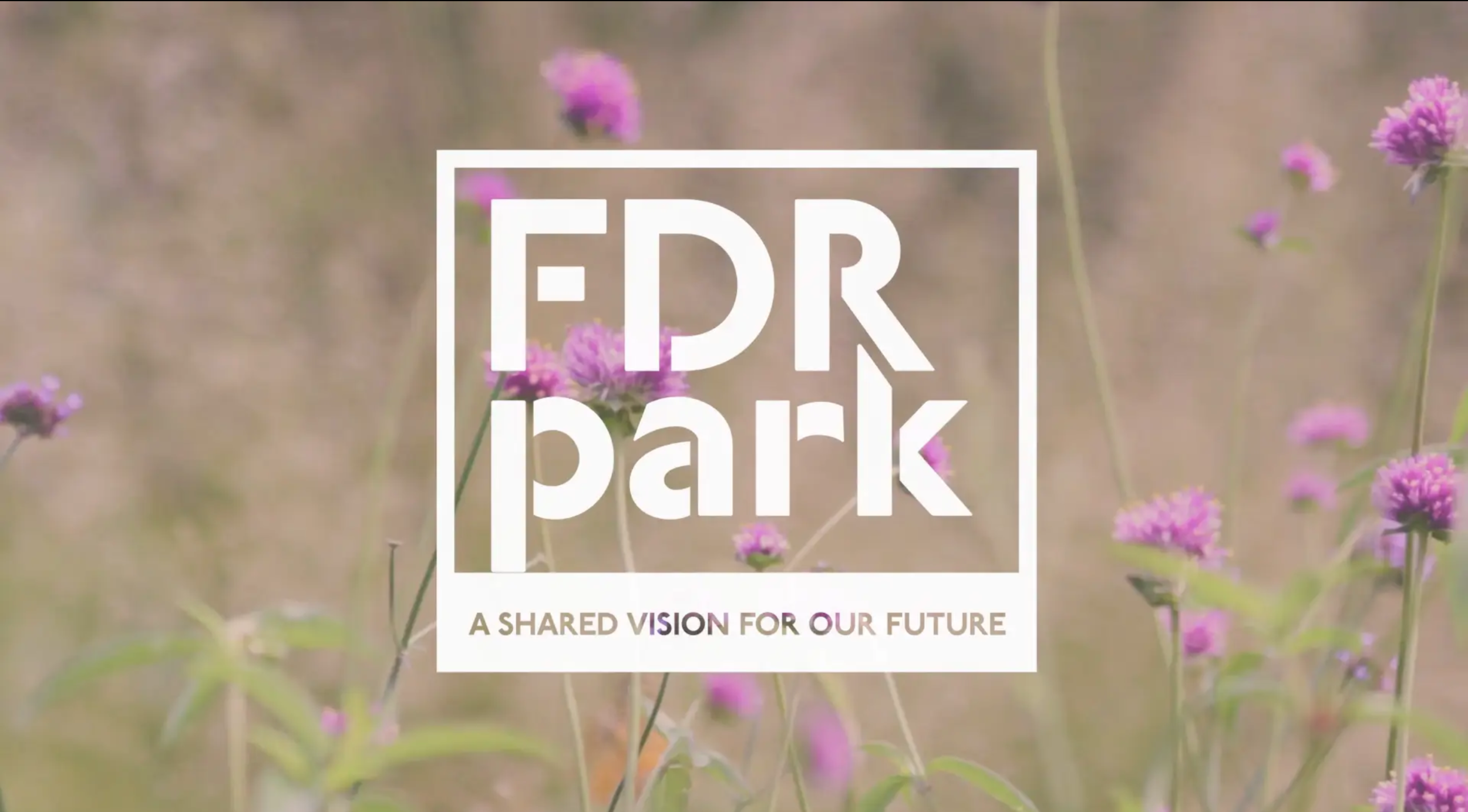 Screen Shot 2020-01-19 at 2.39.23 PM.png