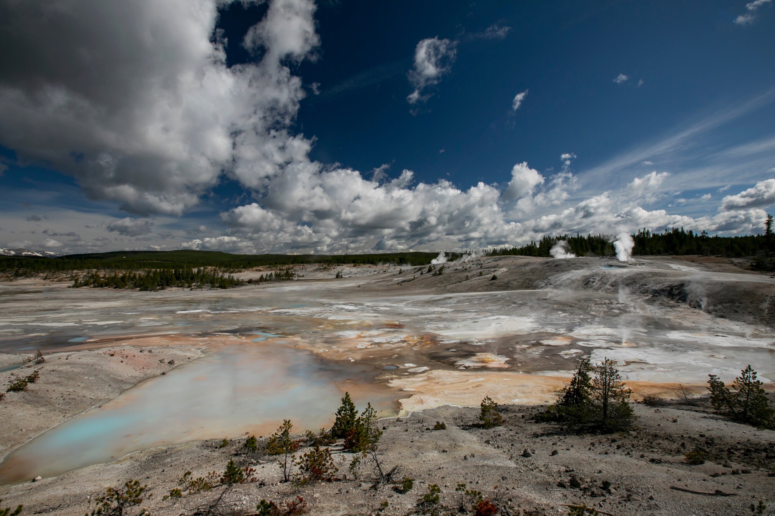 Porcelin Basin in Yellowstone National Park