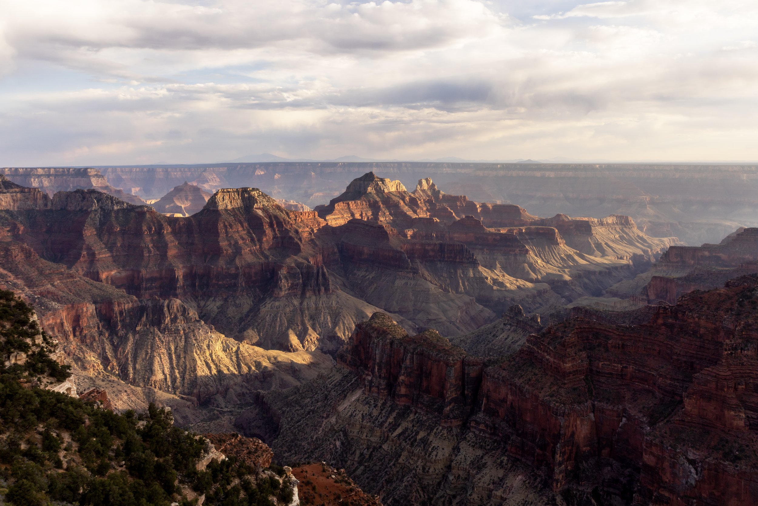 Golden hour over the North Rim of the Grand Canyon.