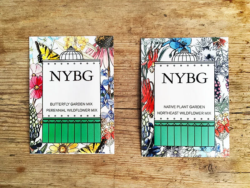 NYBG-seeds-1.jpeg
