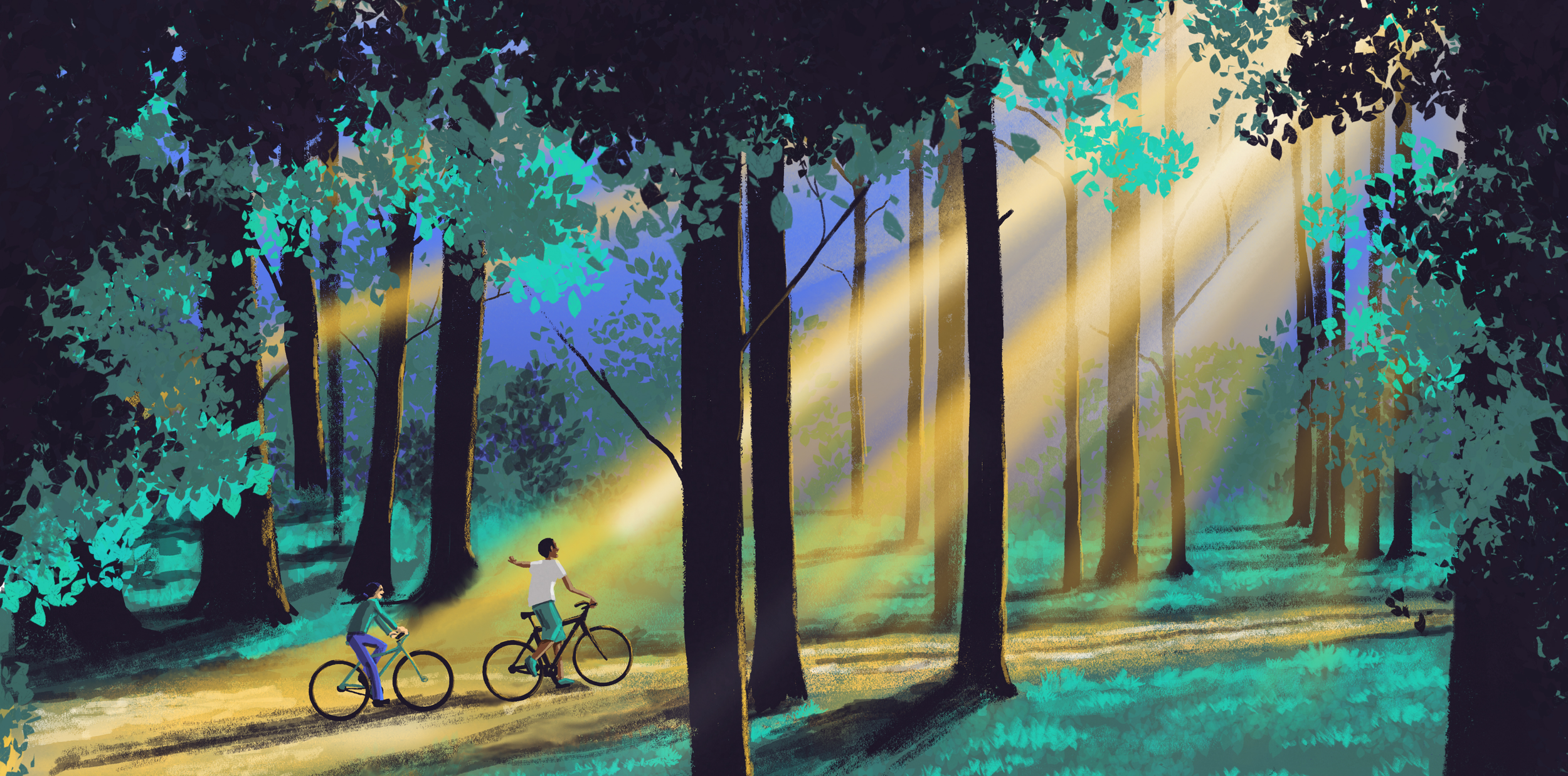 PatientsHeader Image.png