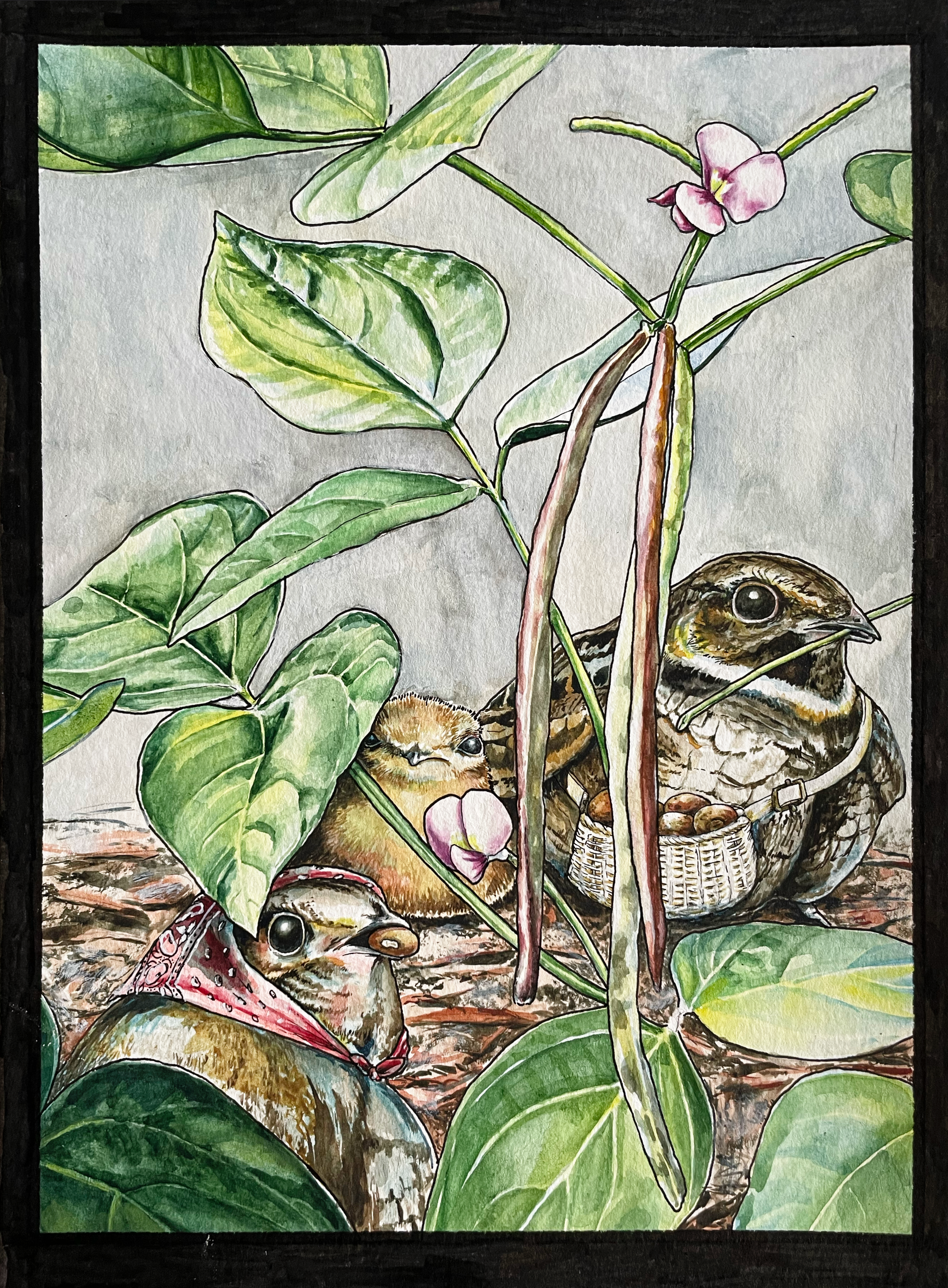 Whippoorwill Pea Gatherers-AVP.png