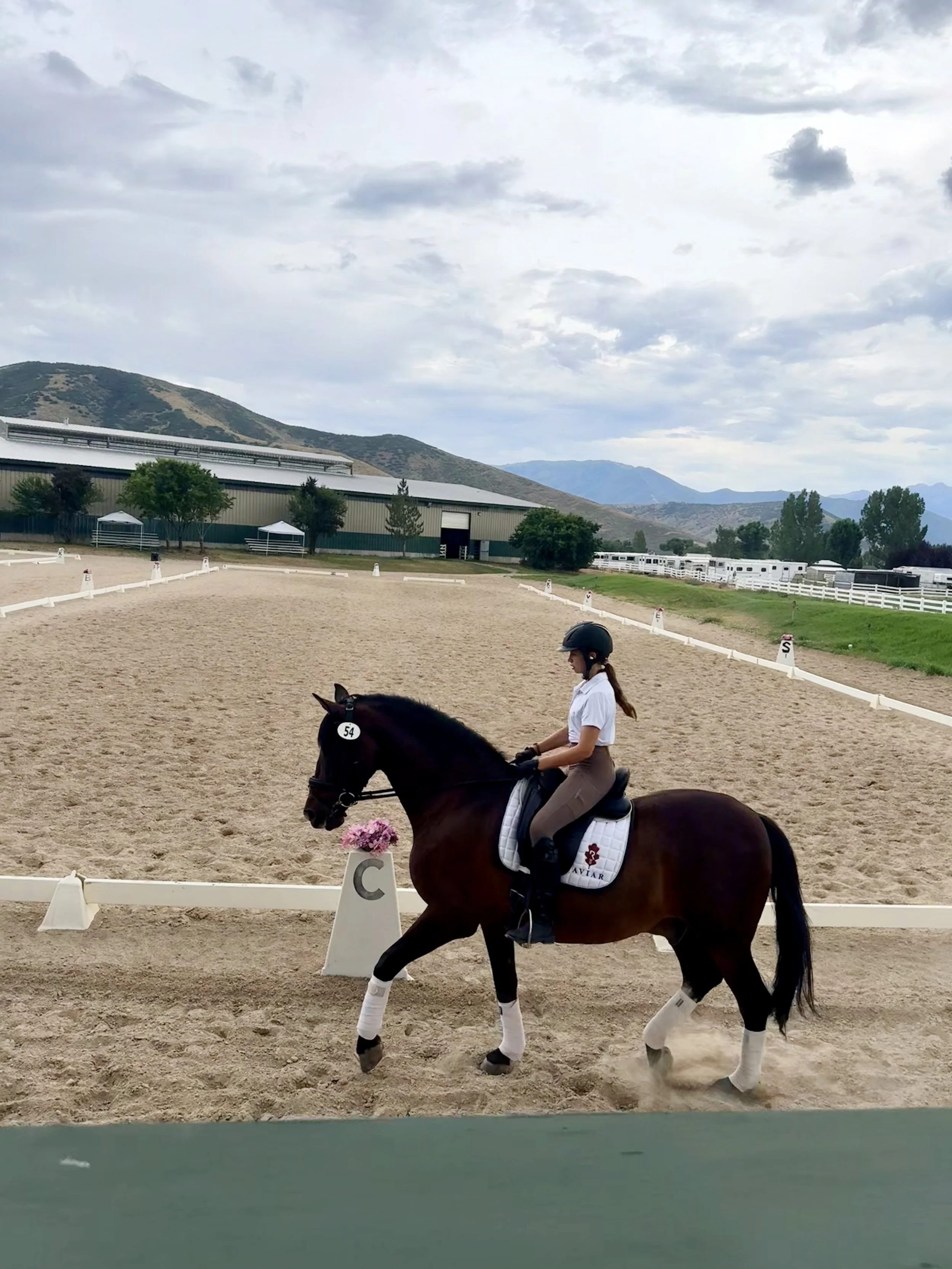 dressage junior schooling at show