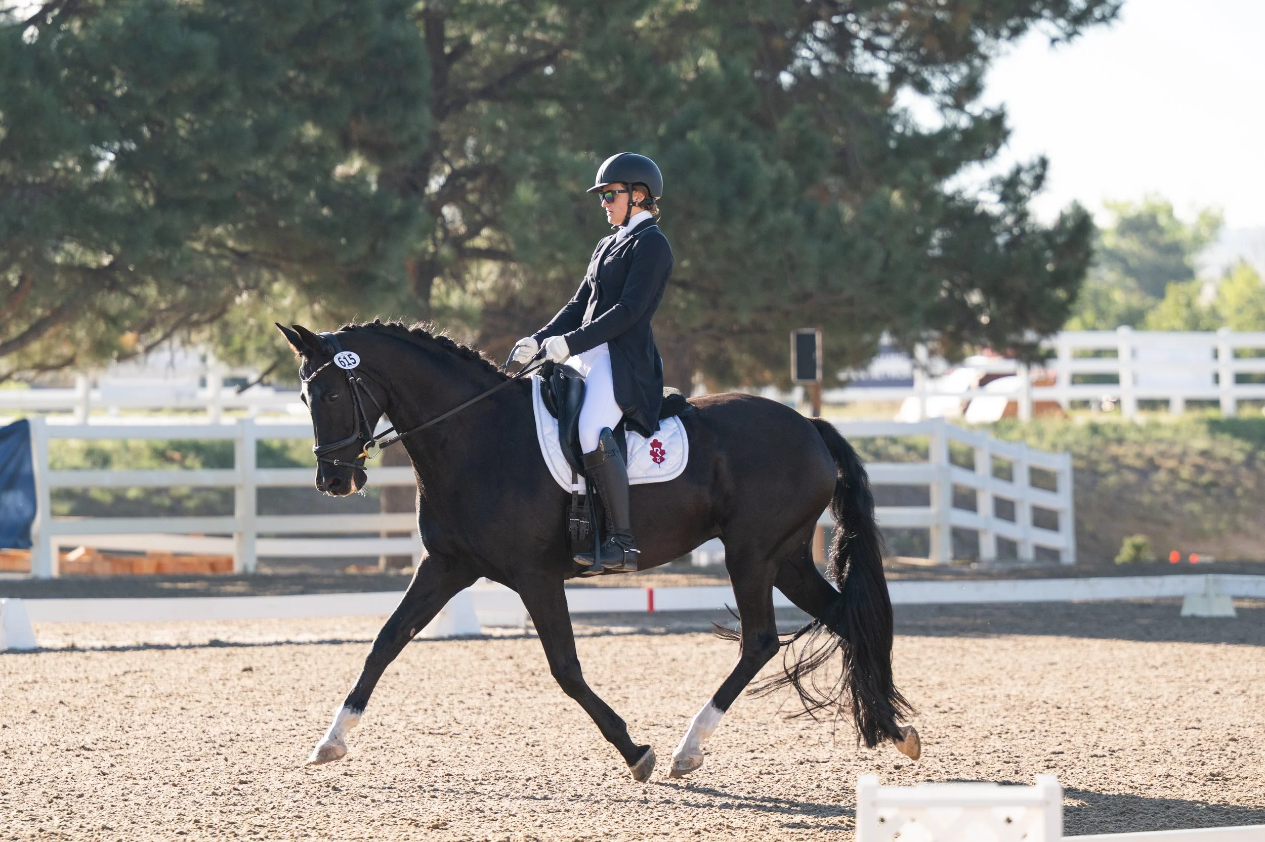 KWPN mare Emeres on her way to winning the PSG national class with Elise