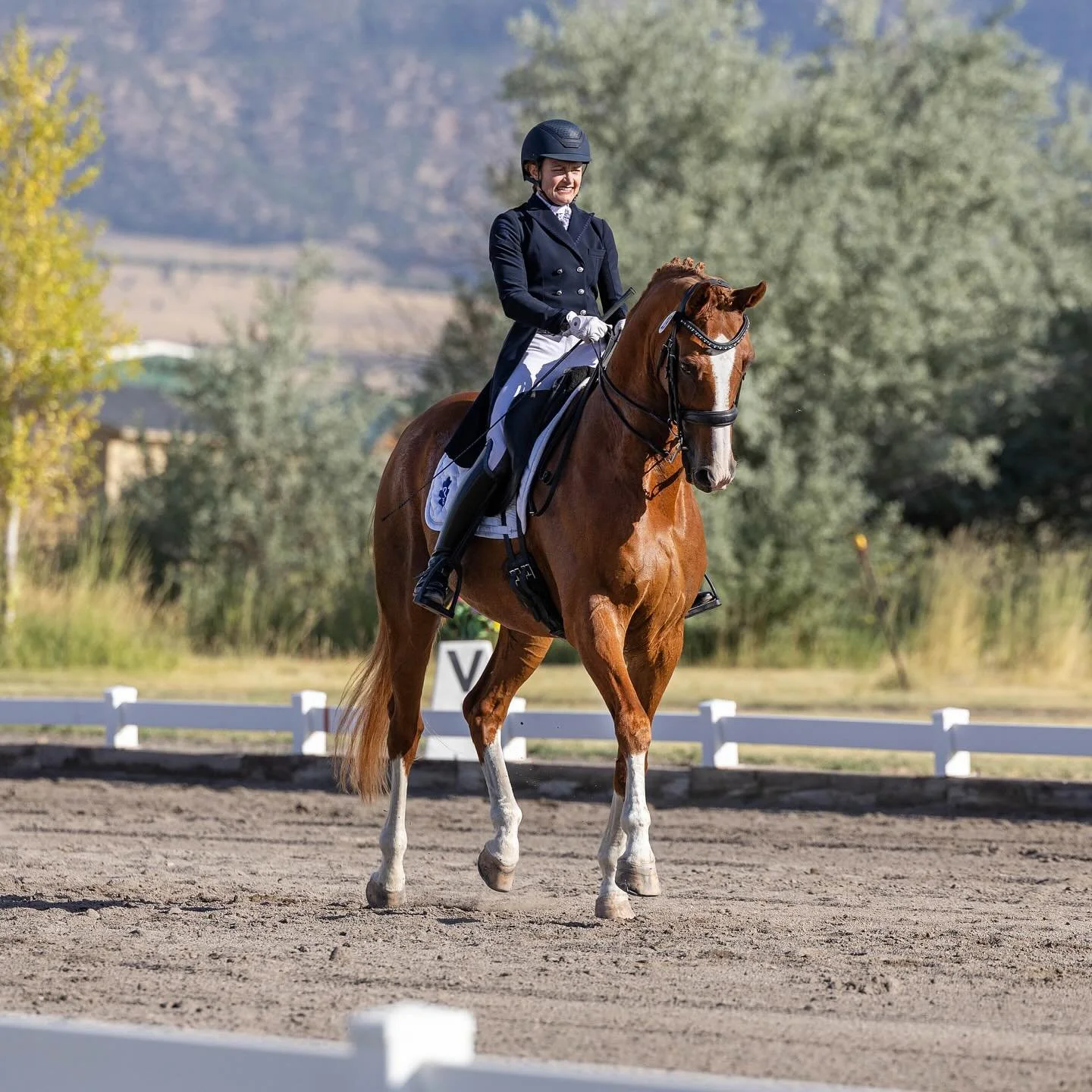 Flashback Friday to dancing down the centerline on my favorite chestnut. Karl, you&rsquo;re one in a million. 💃🏼🥂
.
.
.
#dressage #dressurpferd #dressur #dressageshow #dressurturnier