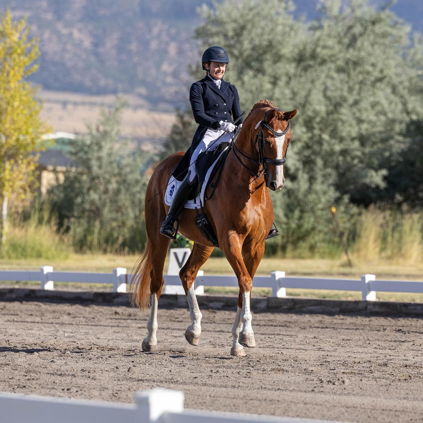 Flashback Friday to dancing down the centerline on my favorite chestnut. Karl, you&rsquo;re one in a million. 💃🏼🥂
.
.
.
#dressage #dressurpferd #dressur #dressageshow #dressurturnier