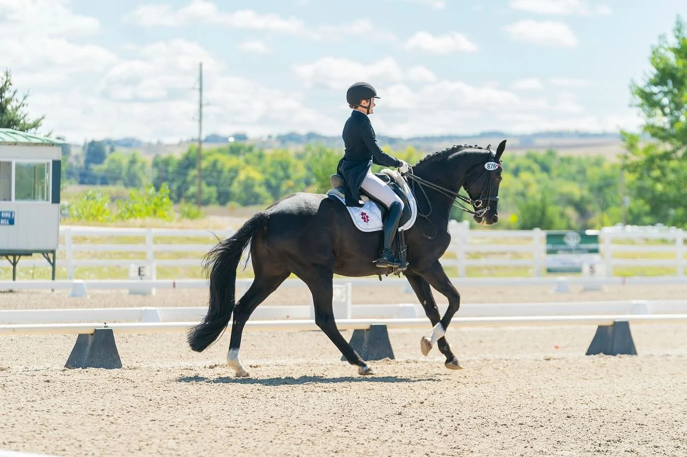 This mare. Every time I get on her, I have a giant grin on my face. She&rsquo;s always ready to work, always completely dedicated to her task. If I get my act together, she&rsquo;s 100% on board. 

She may not be the fanciest horse at the show, but w