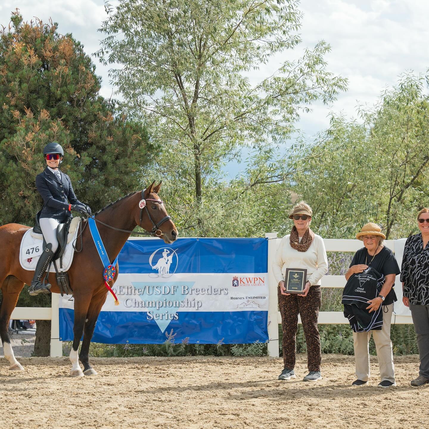 Barbarella&rsquo;s pics from Championships can&rsquo;t fully capture her various successes: Materiale Grand Champion, Young Horse Futurity Champion, Show High Point&hellip; her accolades go on &amp; on. We love riding this sweet mare every day &amp; 