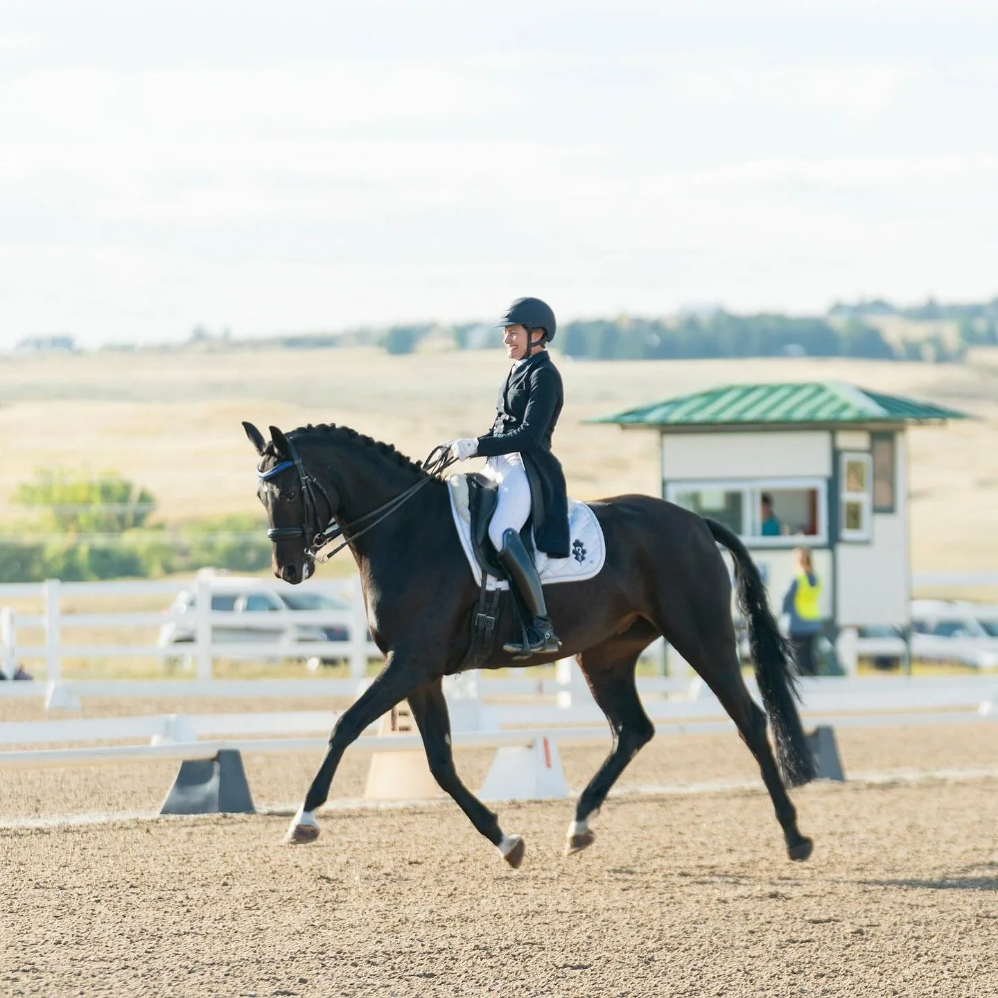 Fendi S, looking a lot like her auntie Emeres in the best possible way, did her first Developing Prix St Georges a couple of weeks ago in Colorado. We are so proud of her! She still gets worried so there were some mistakes but the pieces are all ther