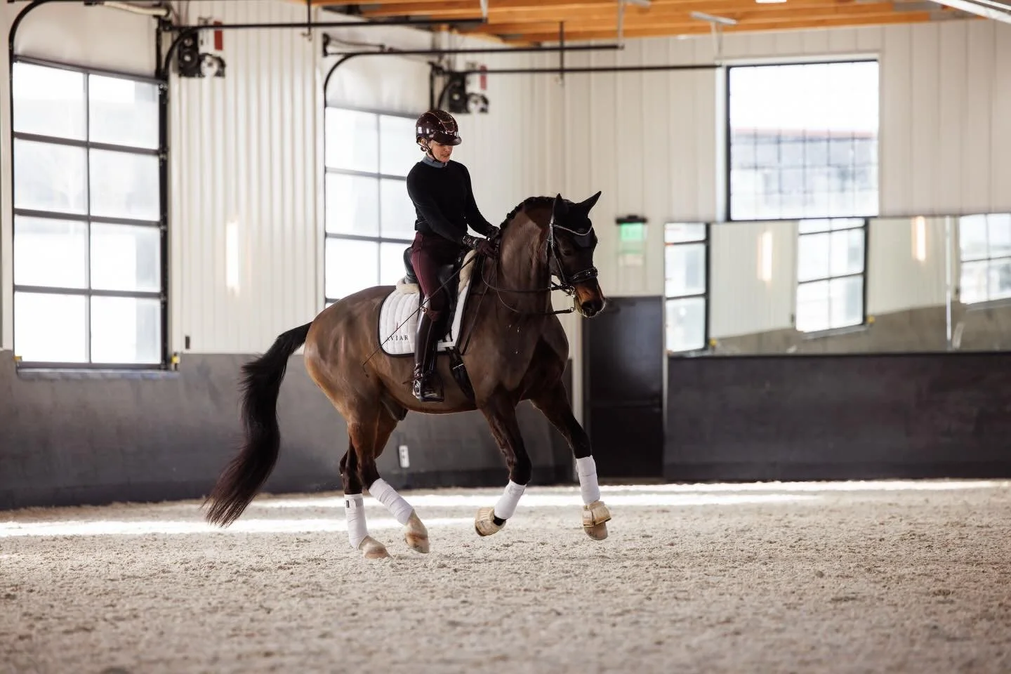 What incredible pics from @impulsionimages ! Really lovely way to record the Steffen Peters Symposium put on by @utahdressagesociety . Gizmo was a terrific marquee demo for the Grand Prix work. I loved Steffen&rsquo;s focus on self carriage &amp; sup