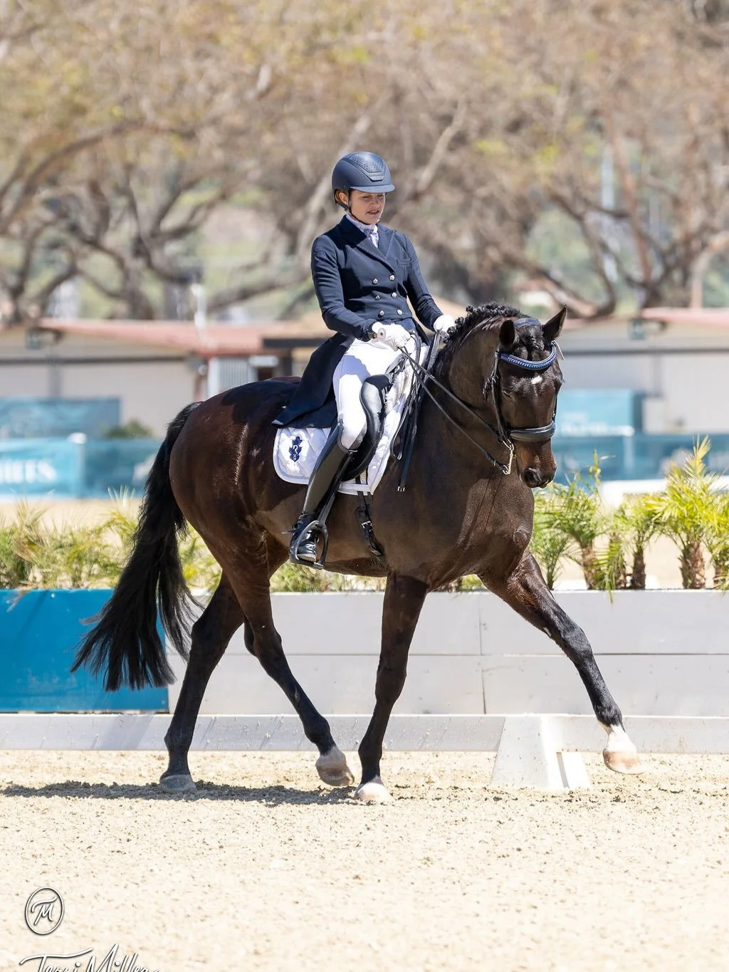 So impressed with Fendi from her show at the Del Mar CDI last weekend! She was a little excited in her first class (so many flying changes!!) but really settled down for day two &amp; three with her Developing Horse Prix St Georges. 

She improved ea