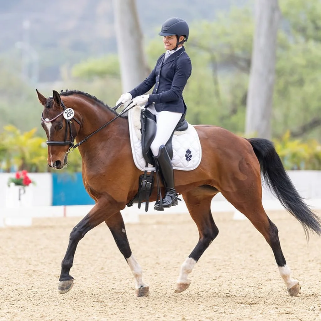 Barbarella did great on her first trip to California! I could tell her stomach was a little off- we treated for ulcers during the trip but i could tell it wasn&rsquo;t enough. 

Of course she was still her perfect self but she was missing a bit of he