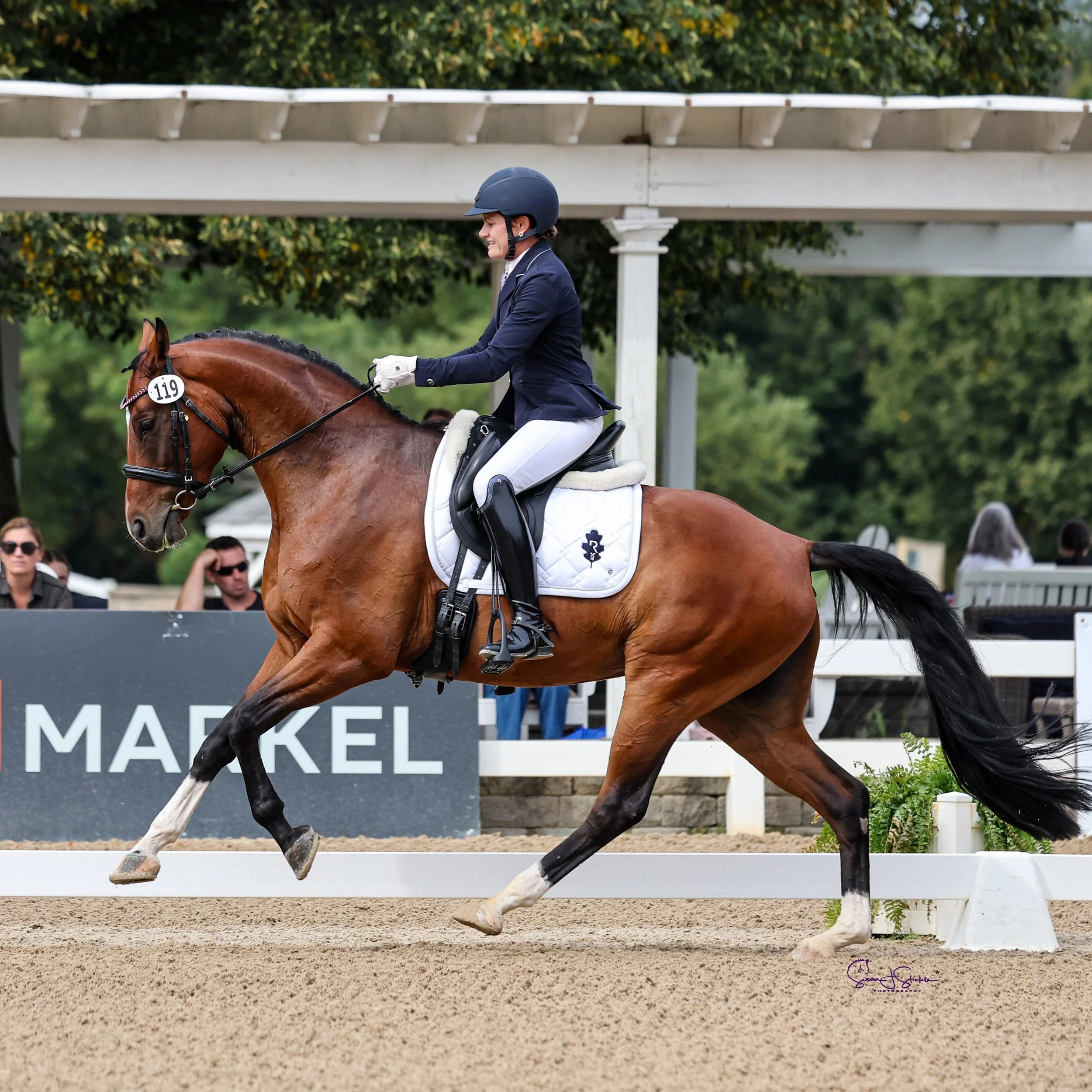 Festival of Champions was a great experience. Barbarella finished top 10, which was our goal- I know it may sound unambitious but the horses there are *really good! 

We never got her fully powered up from the 23 hour drive to the event; we were trea