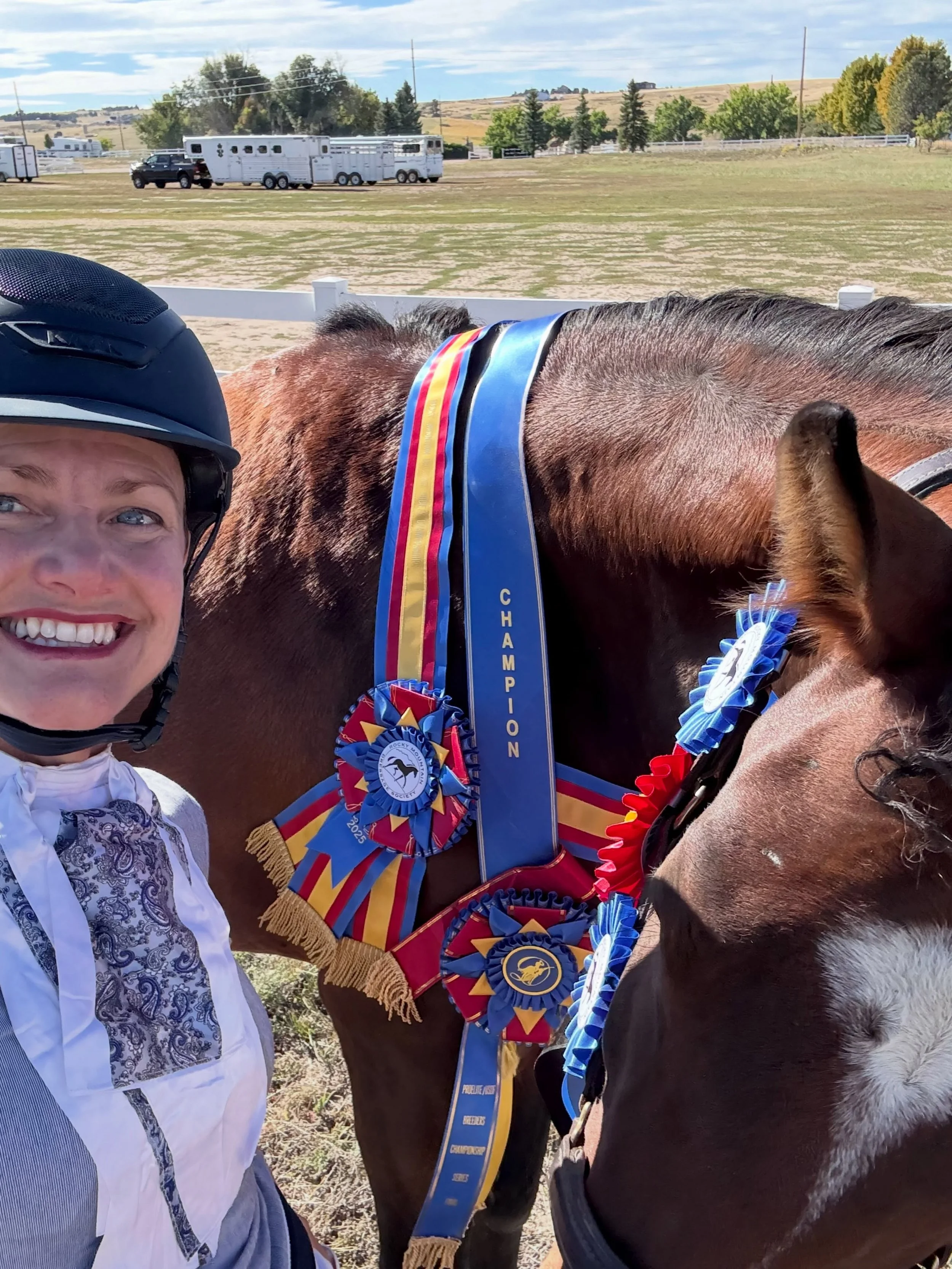 Late post but our home bred Barbarella (Benecio x Finest/Sandro Hit,) is headed to Festival of Champions, aka Young Horse Nationals! That puts her in the top 15 of 5yo horses in the country. 

It&rsquo;s a huge achievement for any horse &amp; Barbare