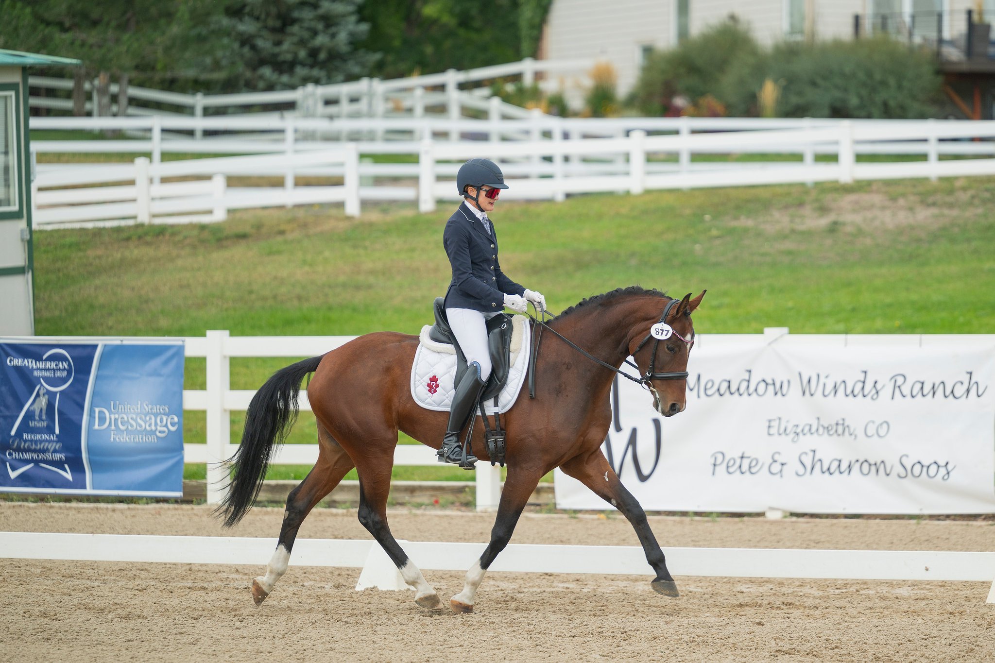 Fall 2025: Barbarella S Region 5 Futurity Champion & Materiale Champion!