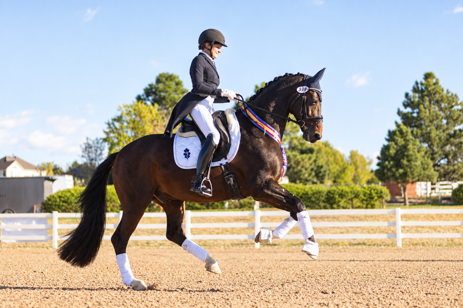 Gizmo, FEI Intermediate 1 Champion