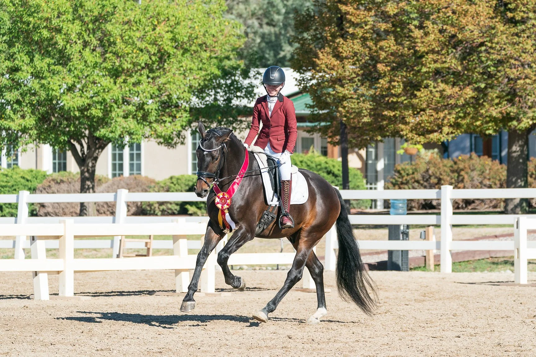 Supreme Level, Reserve Champion Training Level