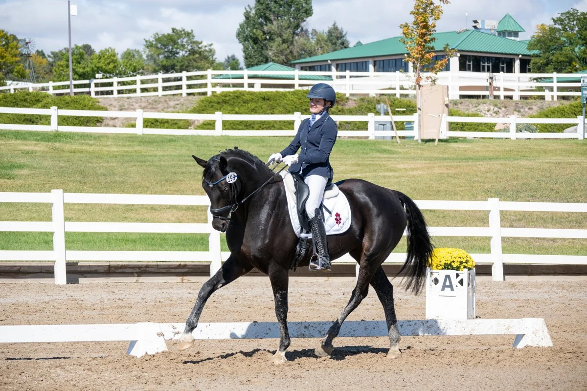 Fall 2024: Fendi S overall High Point at 3rd level for Utah Dressage Society