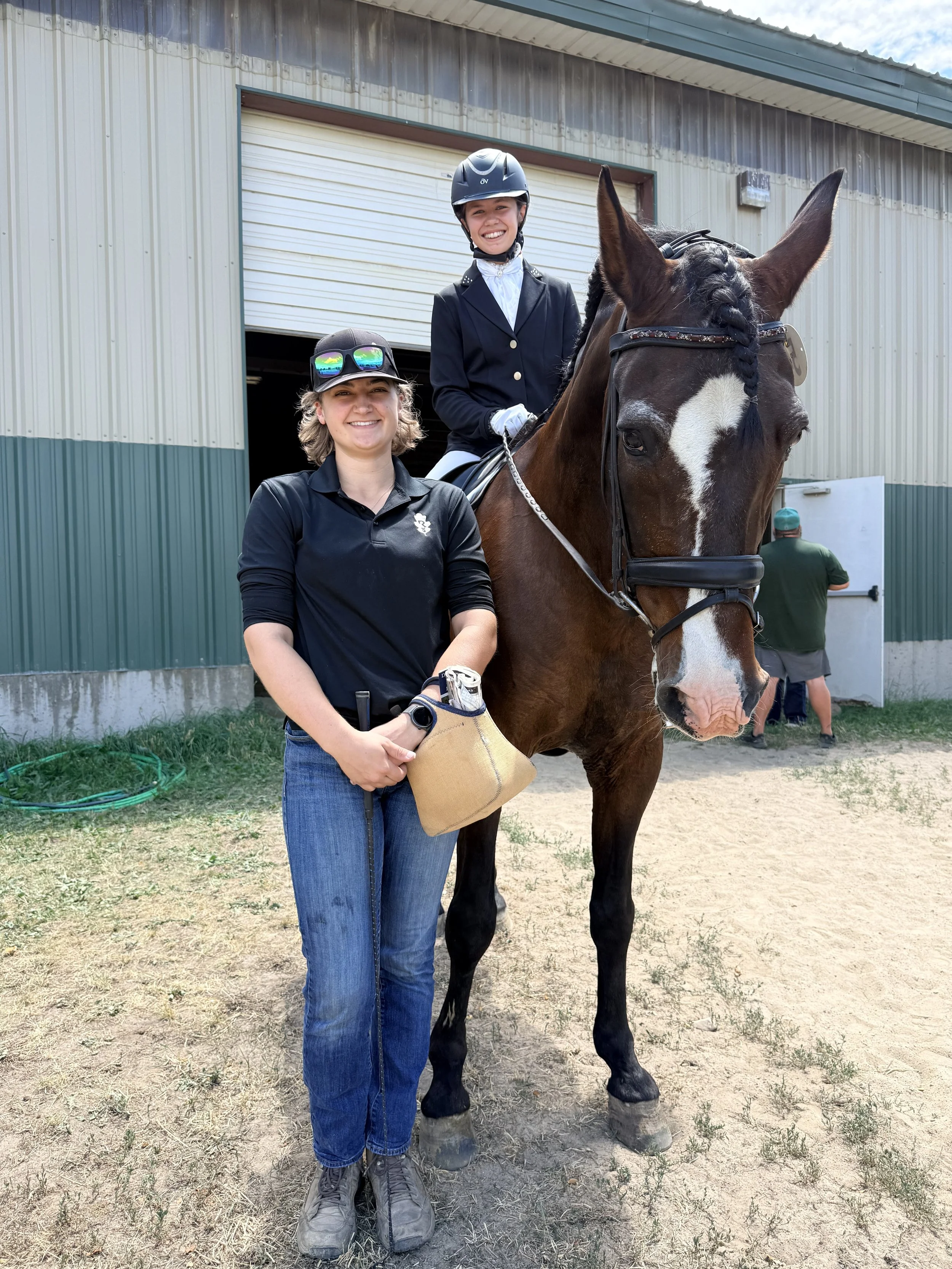 PRE horse at show
