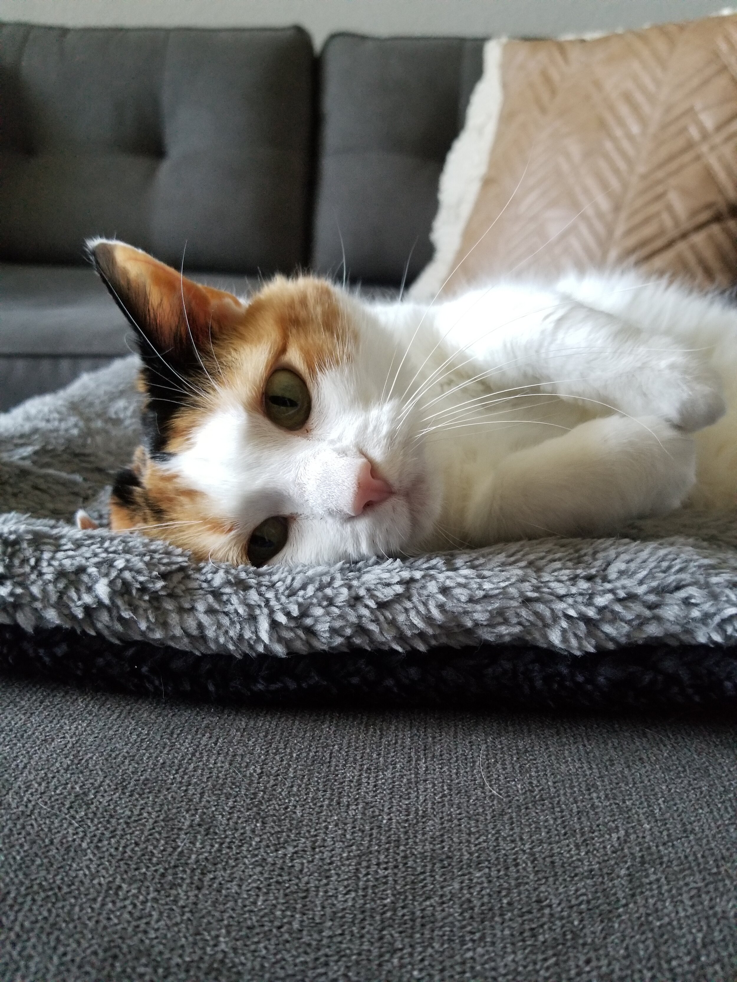20190525_124136.jpg