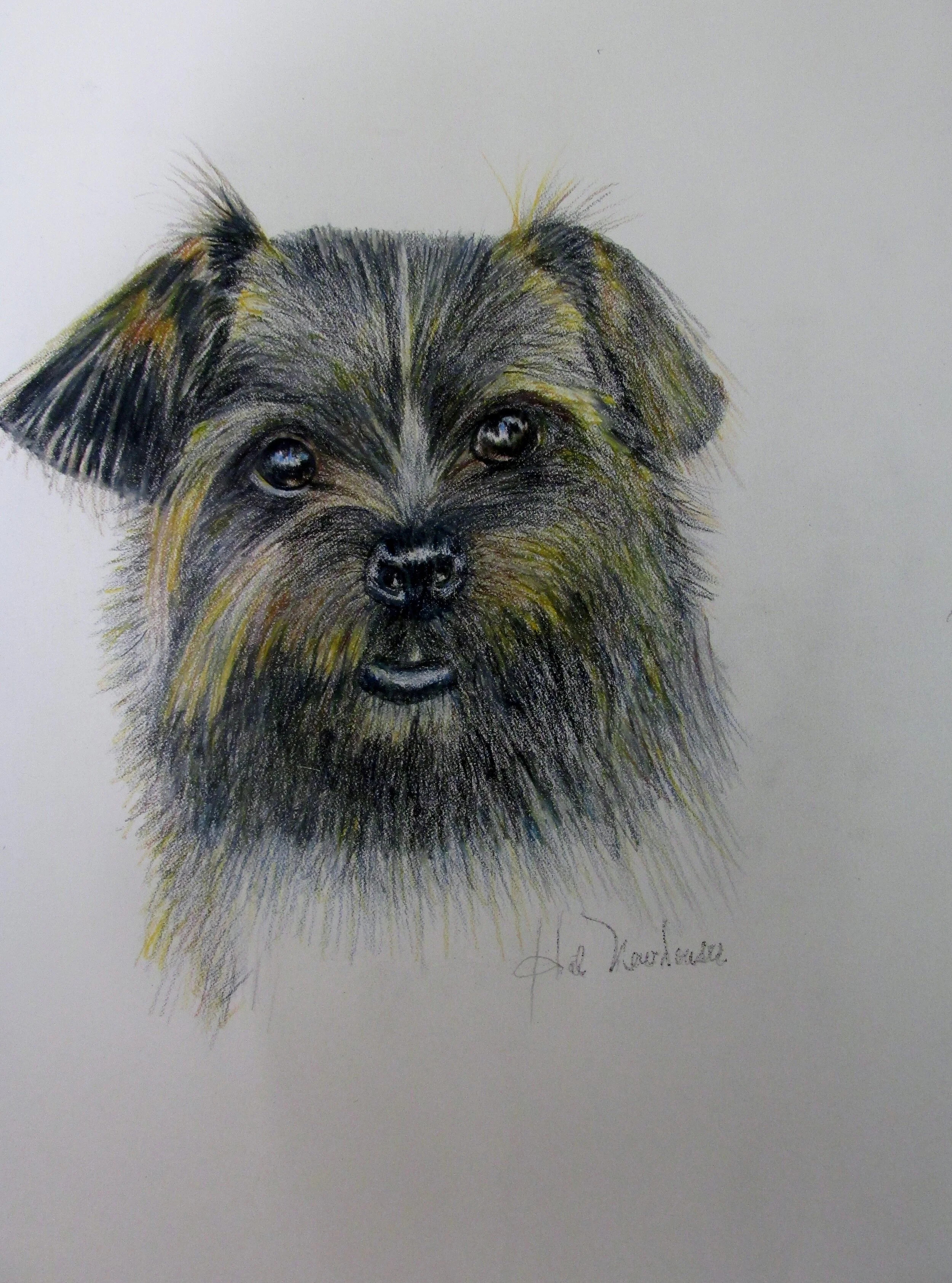 Tuffles  Color Pencil.JPG